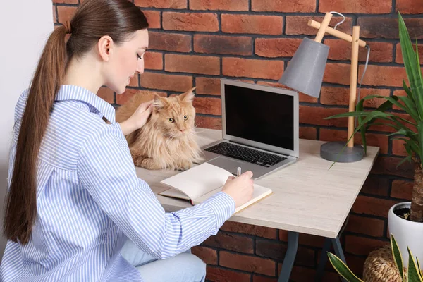 Woman with beautiful cat working at desk. Home office