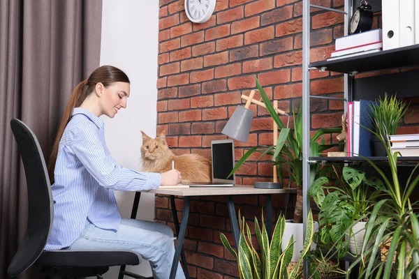 Woman with beautiful cat working at desk. Home office