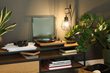 Samimi odadaki televizyon masasında vinil plaklı şık bir pikap.