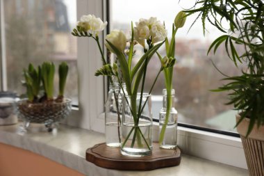 Different beautiful spring flowers on windowsill indoors