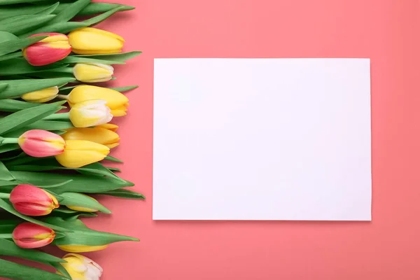 Hermosos Tulipanes Tarjeta Blanco Sobre Fondo Rojo Plano Laico — Foto de Stock