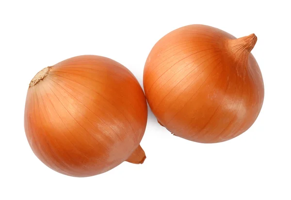 Zwei Frische Zwiebeln Auf Weißem Hintergrund Draufsicht — Stockfoto