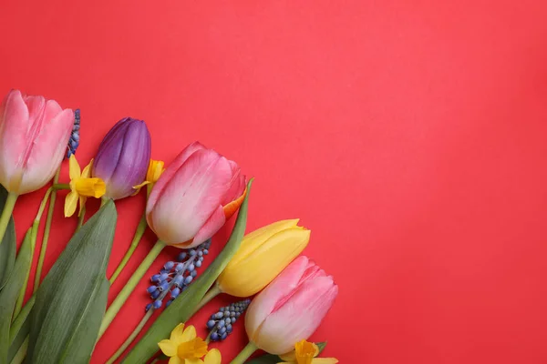 Beautiful different flowers on red background, flat lay. Space for text