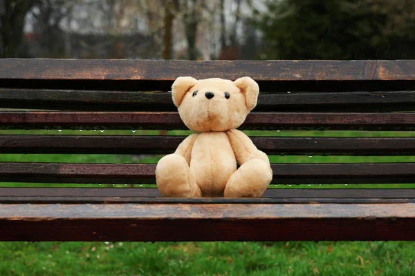 Lonely Teddy Bear Wooden Bench Outdoors — Stock Photo, Image