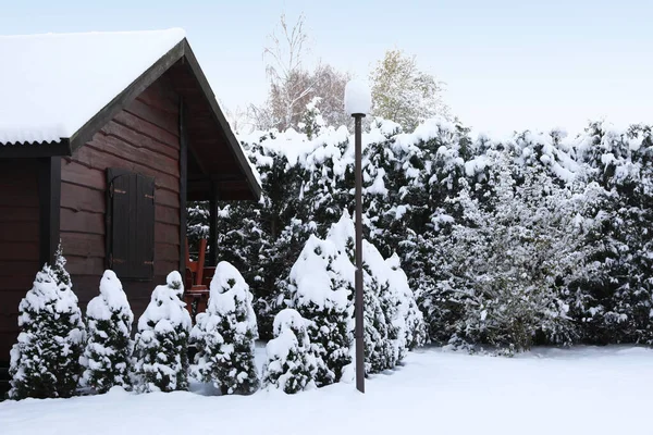 Winter Landscape Wooden House Trees Bushes Morning — 스톡 사진