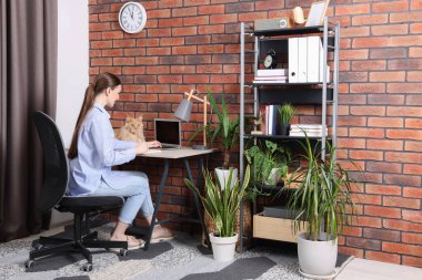 Masada çalışan kedisi güzel bir kadın. Merkez Ofis