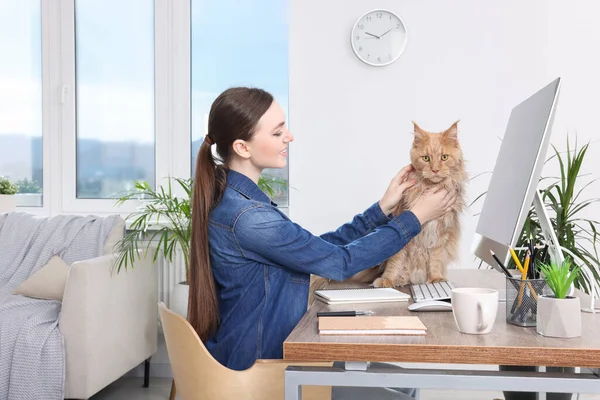 Woman with beautiful cat at desk. Home office