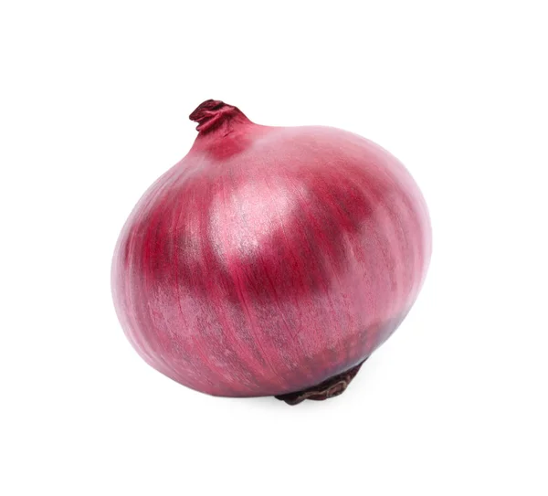 One Fresh Red Onion White Background — Foto de Stock