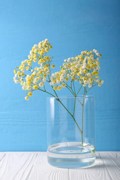 Beautiful dyed gypsophila flowers in glass vase on white wooden table against light blue background