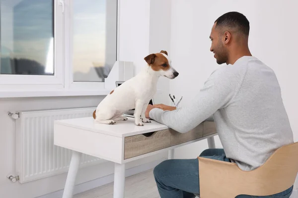 Joven Con Jack Russell Terrier Trabajando Escritorio Oficina Casa — Foto de Stock