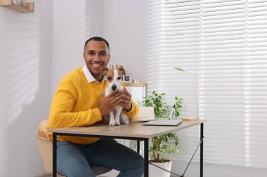 Jack Russell Terrier 'in yanındaki genç adam merkezdeki masada.