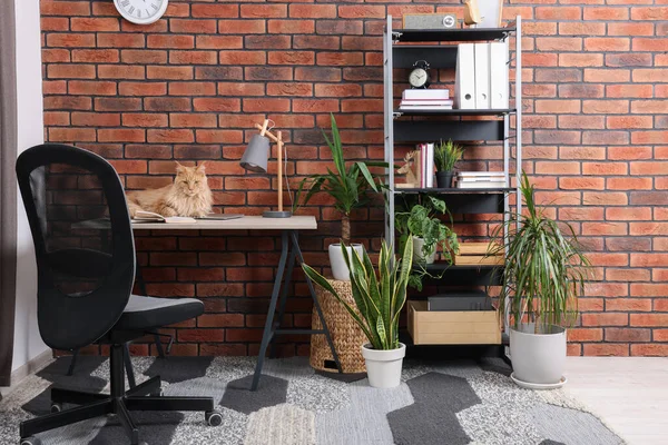Beautiful Cat Sitting Desk Plants Home — Fotografia de Stock