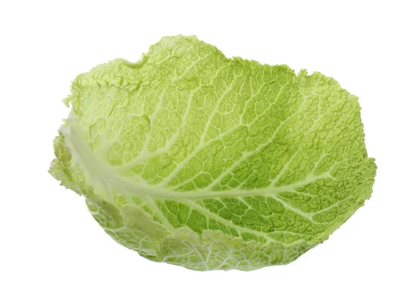 Fresh Leaf Savoy Cabbage Isolated White — Stock fotografie
