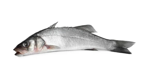 Свіжа Морська Басова Риба Ізольована Білому — стокове фото