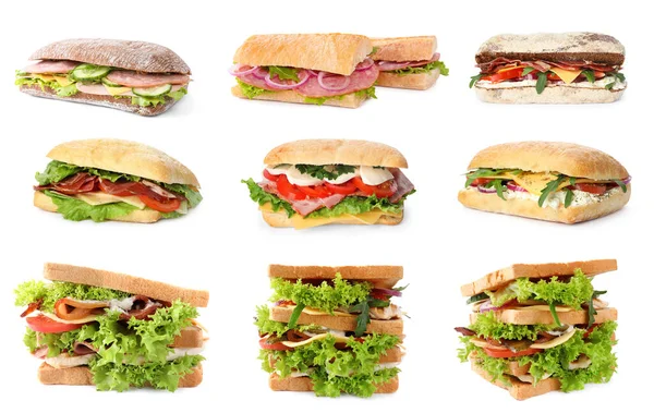 Колаж Смачними Бутербродами Білому Тлі — стокове фото