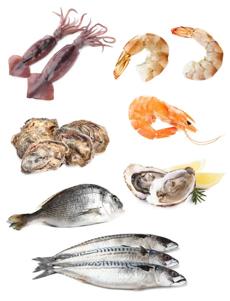 stock image Collage with different seafood on white background