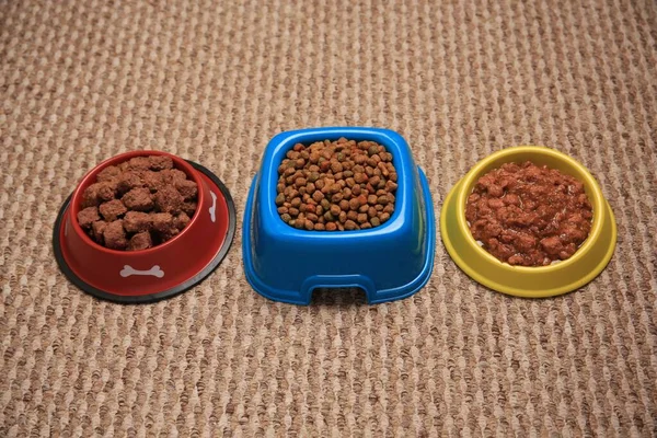 Dry and wet pet food in feeding bowls on soft carpet, above view