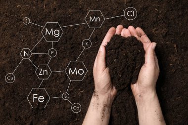 Woman holding pile of soil above ground, top view. Scheme with chemical elements clipart