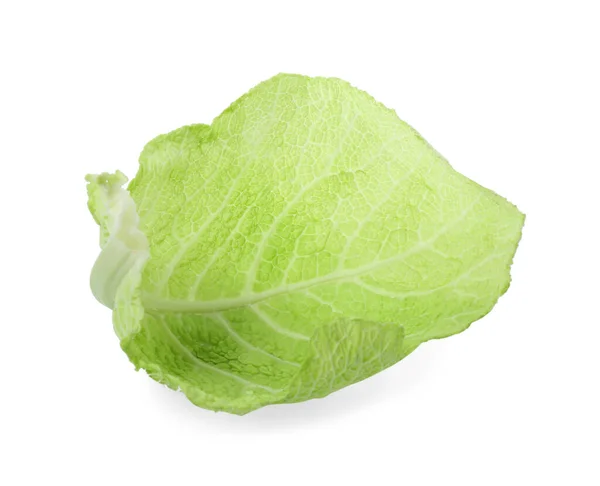 Fresh Leaf Savoy Cabbage Isolated White — 图库照片