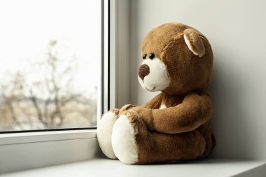 Pencerenin kenarındaki sevimli yalnız ayıcık.