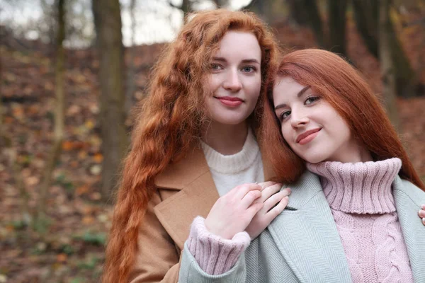 Sonbahar Günü Parkta Güzel Kızıl Saçlı Kız Kardeşlerin Portresi Metin — Stok fotoğraf