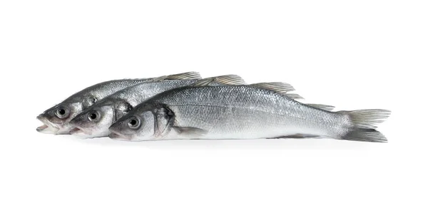 Свіжа Морська Басова Риба Білому Тлі — стокове фото