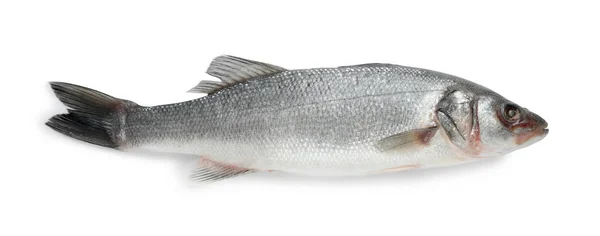 Fresh Sea Bass Fish Isolated White Top View — Stock Photo, Image