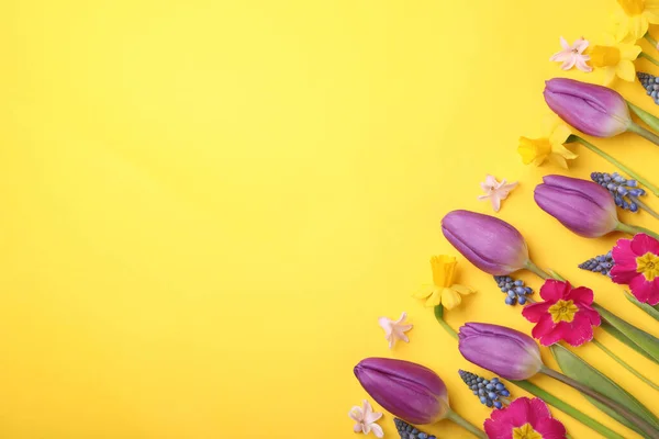 Hermosas Flores Diferentes Sobre Fondo Amarillo Disposición Plana Espacio Para — Foto de Stock