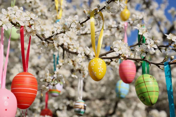 Prachtig Geschilderde Paaseieren Hangend Aan Bloeiende Kersenboom Buiten — Stockfoto