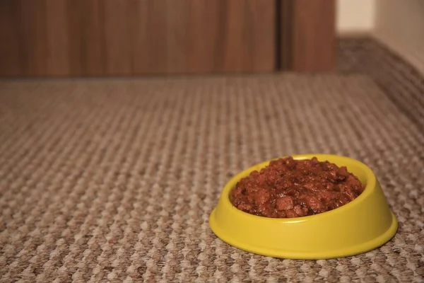 Wet Pet Food Feeding Bowl Soft Carpet Indoors Space Text — Stock Photo, Image
