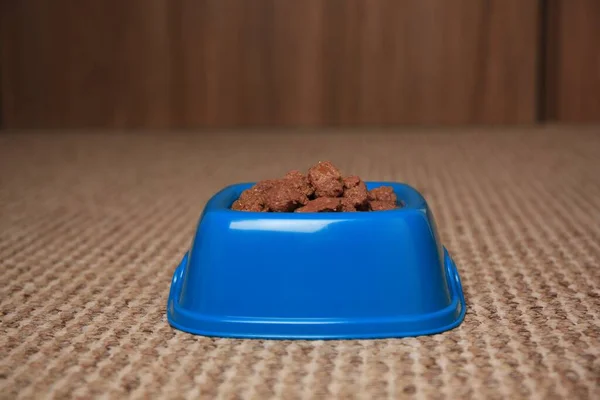 Wet pet food in feeding bowl on soft carpet indoors