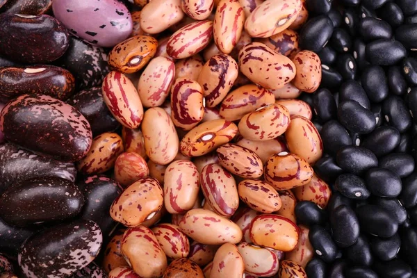 Different Kinds Beans Background Closeup — Stock Photo, Image