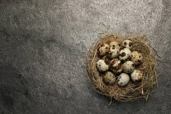 stock image Nest with many speckled quail eggs on dark grey table, top view. Space for text
