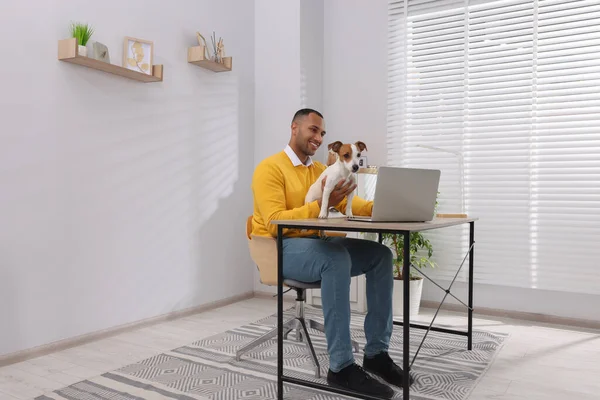 Young man with Jack Russell Terrier working at desk in home office