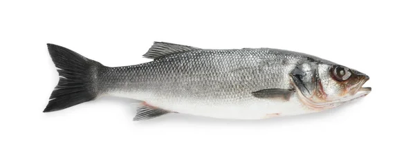 Φρέσκα Ψάρια Λαβρακιού Που Απομονώνονται Λευκό Κορυφαία Άποψη — Φωτογραφία Αρχείου