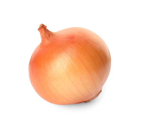 One Fresh Unpeeled Onion Isolated White — Stock Photo, Image