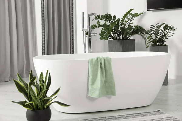 Stylová Bílá Vana Zelené Rostliny Koupelně Návrh Interiéru — Stock fotografie