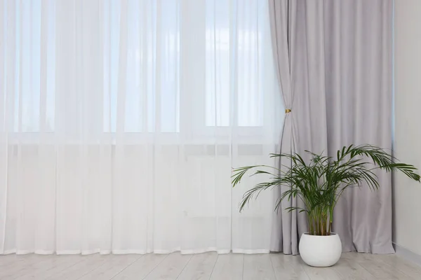 Ruangan Interior Bergaya Dengan Tanaman Rumah Tangga Dan Tirai Jendela — Stok Foto