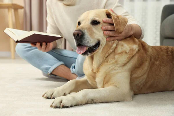 Homem Lendo Livro Chão Perto Seu Bonito Labrador Retriever Casa — Fotografia de Stock