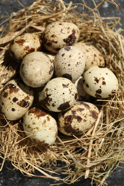 Nest Mit Vielen Gesprenkelten Wachteleiern Auf Dem Tisch Nahaufnahme — Stockfoto