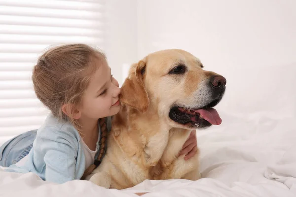Молода Дівчина Чарівною Собакою Ліжку Вдома — стокове фото