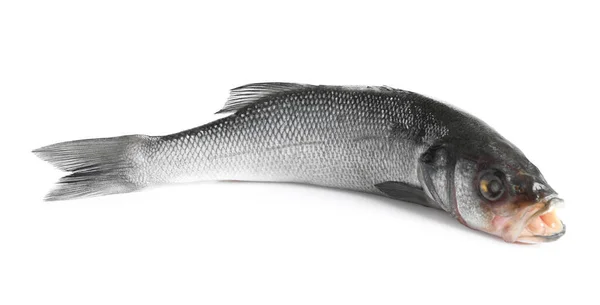 Pesce Branzino Fresco Isolato Bianco — Foto Stock