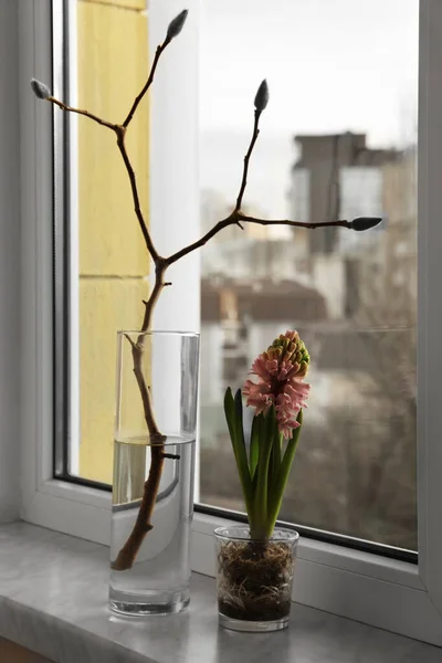Beautiful hyacinth flower and tree branch with buds on window sill indoors. Spring time