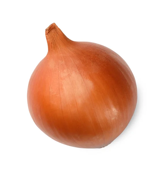 One Fresh Onion White Background Top View — Stock Photo, Image