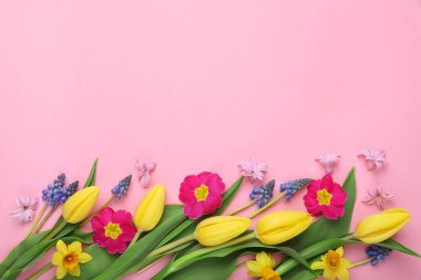 Pembe arka planda güzel, farklı çiçekler, düz uzanmış. Metin için boşluk