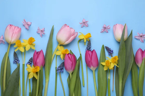 Όμορφα Λουλούδια Γαλάζιο Φόντο Επίπεδη Lay — Φωτογραφία Αρχείου