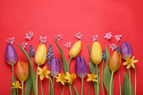 Beautiful different flowers on red background, flat lay. Space for text