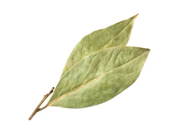 Two Aromatic Bay Leaves White Background — Stock Photo, Image