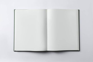 Beyaz arkaplan, üst görünüm üzerine kitabı aç