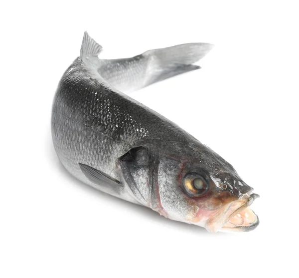 Ryby Świeże Okonia Morskiego Białym Tle — Zdjęcie stockowe